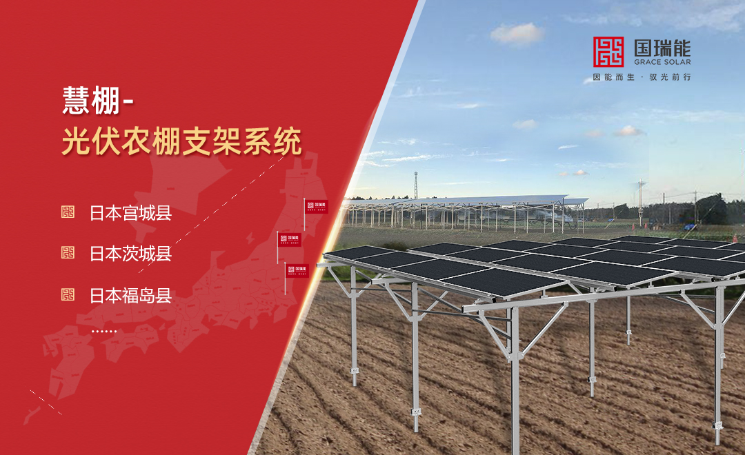 光伏农棚支架系统