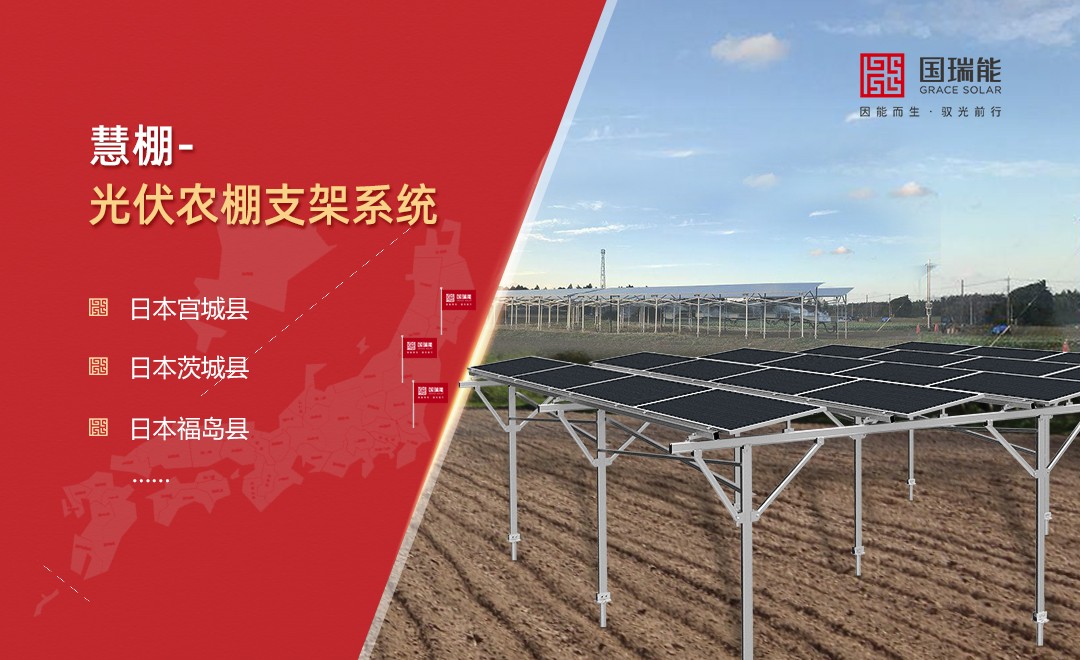 智慧助农丨国瑞能光伏农棚持续为新时代农业续力
